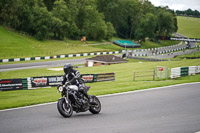 Middle Group Silver_Grey Bikes